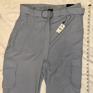 Express Light Blue Casual Pants NEW | Size 14